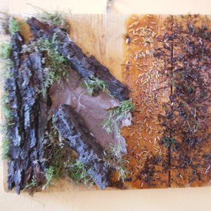Moss & Bark Original Artwork